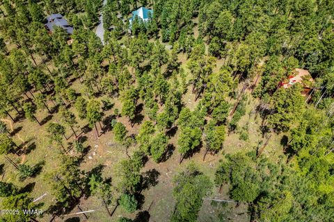 Tiny photo for 16 N1062, Greer, AZ 85927 (MLS # 255079)