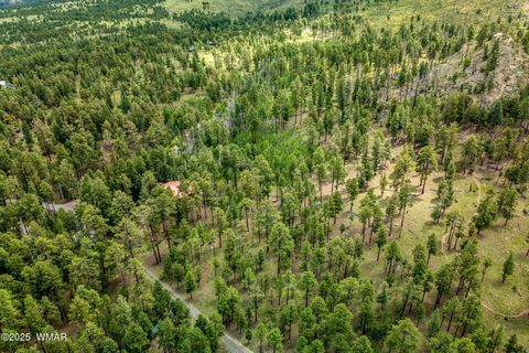 Tiny photo for 16 N1062, Greer, AZ 85927 (MLS # 255079)