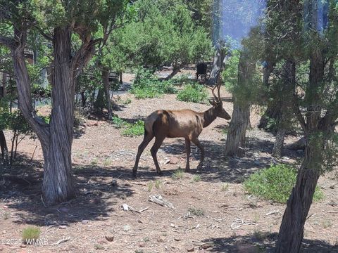 Tiny photo for 3511 W Falling Leaf Road, Show Low, AZ 85901 (MLS # 256615)