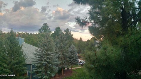 Tiny photo for 2700 S White Mountain Road #1125, Show Low, AZ 85901 (MLS # 260388)