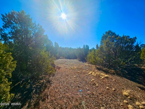 Tiny photo for 29 Co Rd 3199, Vernon, AZ 85940 (MLS # 259450)