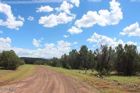 Tiny photo for 29 Co Rd 3199, Vernon, AZ 85940 (MLS # 259450)