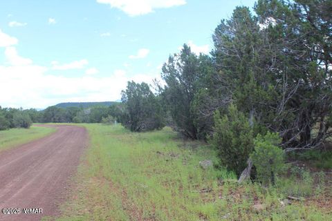 Tiny photo for 29 Co Rd 3199, Vernon, AZ 85940 (MLS # 259450)