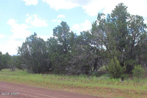 Tiny photo for 29 Co Rd 3199, Vernon, AZ 85940 (MLS # 259450)