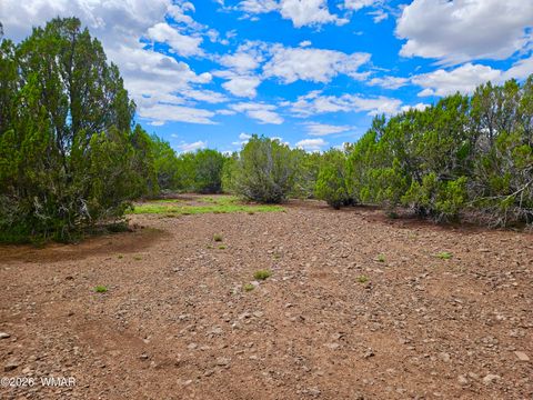 Tiny photo for 29 Co Rd 3199, Vernon, AZ 85940 (MLS # 259450)