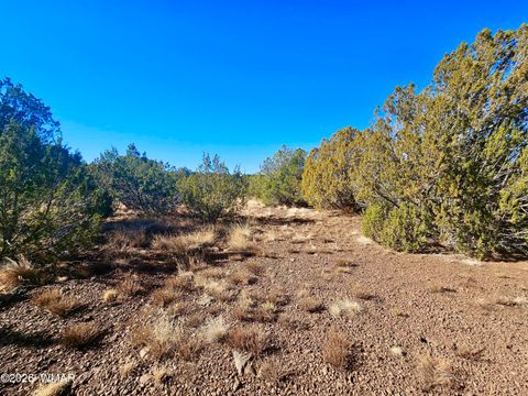 Tiny photo for 29 Co Rd 3199, Vernon, AZ 85940 (MLS # 259450)