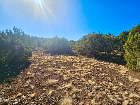 Tiny photo for 29 Co Rd 3199, Vernon, AZ 85940 (MLS # 259450)