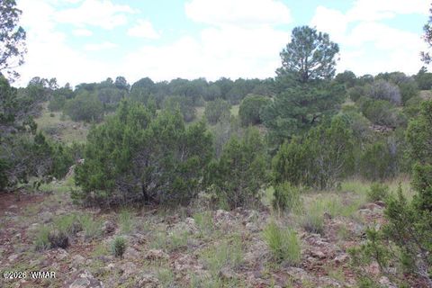 Tiny photo for 29 Co Rd 3199, Vernon, AZ 85940 (MLS # 259450)