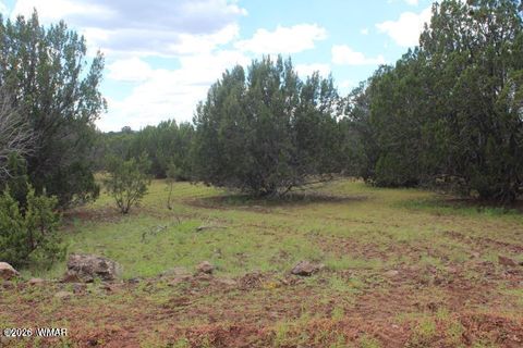 Tiny photo for 29 Co Rd 3199, Vernon, AZ 85940 (MLS # 259450)