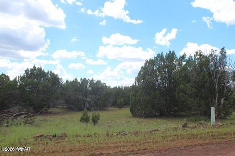 Tiny photo for 29 Co Rd 3199, Vernon, AZ 85940 (MLS # 259450)