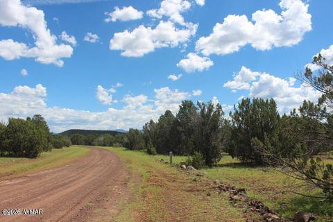 Photo of 29 Co Rd 3199, Vernon, AZ 85940 (MLS # 259450)
