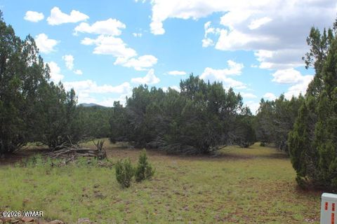 Tiny photo for 29 Co Rd 3199, Vernon, AZ 85940 (MLS # 259450)