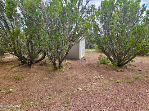 Tiny photo for 29 Co Rd 3199, Vernon, AZ 85940 (MLS # 259450)