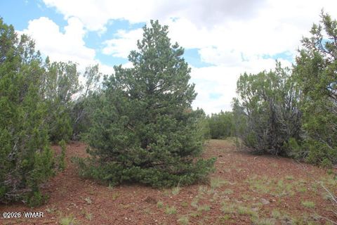 Tiny photo for 29 Co Rd 3199, Vernon, AZ 85940 (MLS # 259450)