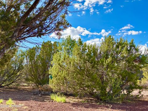 Tiny photo for 29 Co Rd 3199, Vernon, AZ 85940 (MLS # 259450)