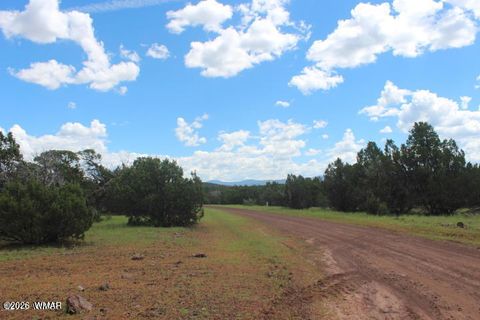 Tiny photo for 29 Co Rd 3199, Vernon, AZ 85940 (MLS # 259450)
