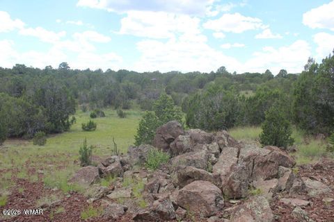 Tiny photo for 29 Co Rd 3199, Vernon, AZ 85940 (MLS # 259450)