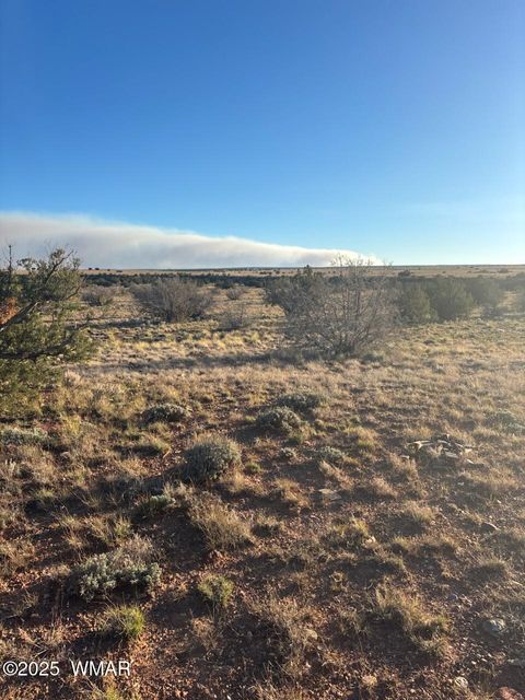 Tiny photo for 1565 Pumpkin Patch Road, Heber, AZ 85928 (MLS # 258671)