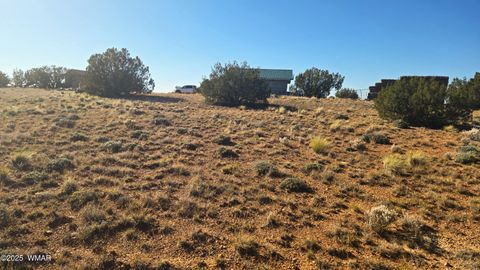Tiny photo for 1565 Pumpkin Patch Road, Heber, AZ 85928 (MLS # 258671)