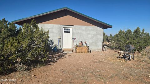 Photo of 1565 Pumpkin Patch Road, Heber, AZ 85928 (MLS # 258671)