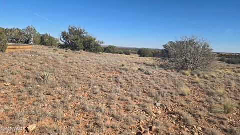 Tiny photo for 1565 Pumpkin Patch Road, Heber, AZ 85928 (MLS # 258671)