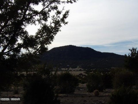 Tiny photo for 126 N3411, Vernon, AZ 85940 (MLS # 260993)