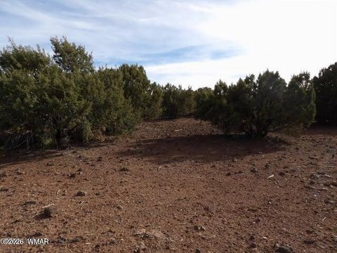 Tiny photo for 126 N3411, Vernon, AZ 85940 (MLS # 260993)