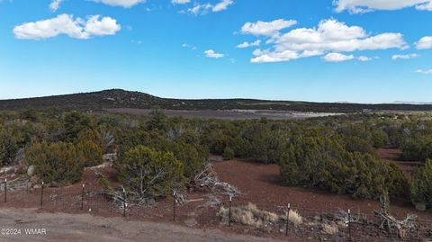 Tiny photo for 71 N8225, Concho, AZ 85924 (MLS # 257057)