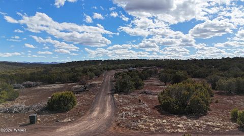 Tiny photo for 71 N8225, Concho, AZ 85924 (MLS # 257057)