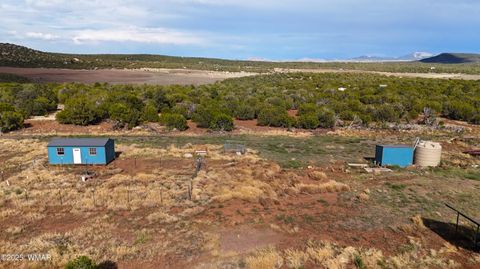 Photo of 71 N8225, Concho, AZ 85924 (MLS # 257057)