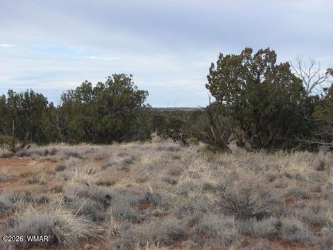 Tiny photo for L 98 & 99 Chevelon Canyon Ranch #1, Heber, AZ 85928 (MLS # 259056)