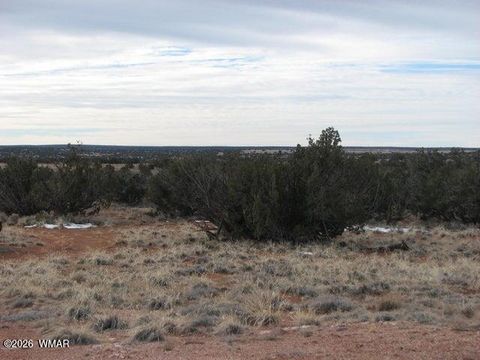 Tiny photo for L 98 & 99 Chevelon Canyon Ranch #1, Heber, AZ 85928 (MLS # 259056)