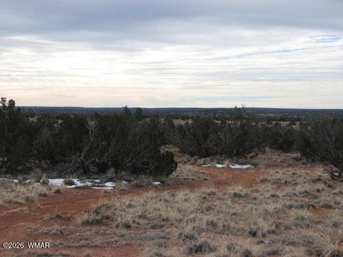 Tiny photo for L 98 & 99 Chevelon Canyon Ranch #1, Heber, AZ 85928 (MLS # 259056)