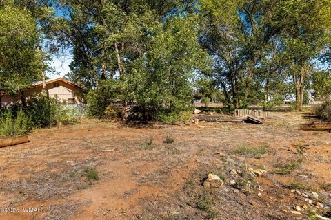 Tiny photo for 00 N Zuni Street, Springerville, AZ 85938 (MLS # 258347)