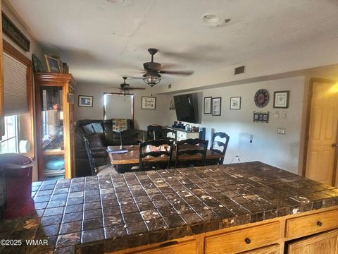 Tiny photo for 1534 Cardinal Lane, Pinedale, AZ 85934 (MLS # 257941)