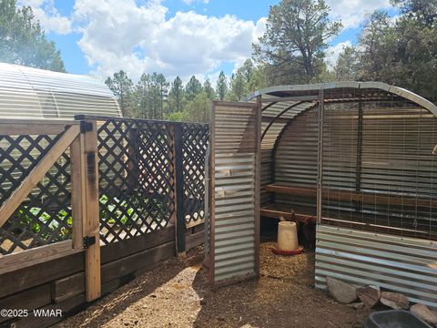 Tiny photo for 1534 Cardinal Lane, Pinedale, AZ 85934 (MLS # 257941)