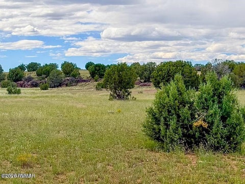 Tiny photo for TBD Rocky Hill Rd Lot A 10 Acres, Ash Fork, AZ 86320 (MLS # 263446)
