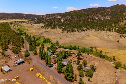 Tiny photo for 96 Co Rd 2180, Nutrioso, AZ 85932 (MLS # 259542)