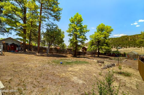 Tiny photo for 96 Co Rd 2180, Nutrioso, AZ 85932 (MLS # 259542)