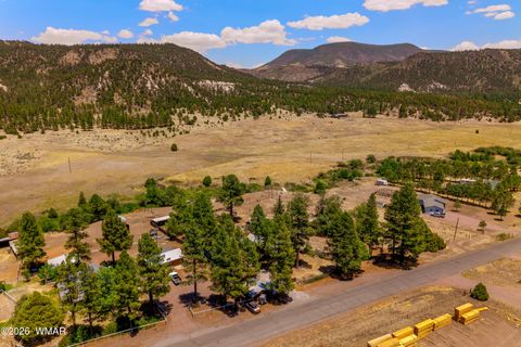 Tiny photo for 96 Co Rd 2180, Nutrioso, AZ 85932 (MLS # 259542)