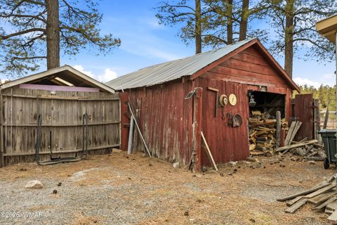 Tiny photo for 96 Co Rd 2180, Nutrioso, AZ 85932 (MLS # 259542)