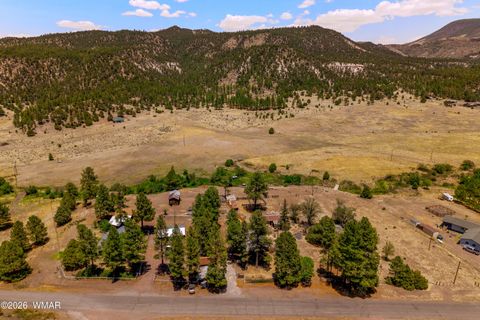Tiny photo for 96 Co Rd 2180, Nutrioso, AZ 85932 (MLS # 259542)