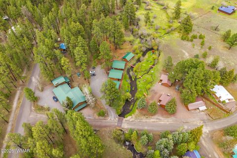 Tiny photo for Cabin 83 Main Street, Greer, AZ 85927 (MLS # 260911)