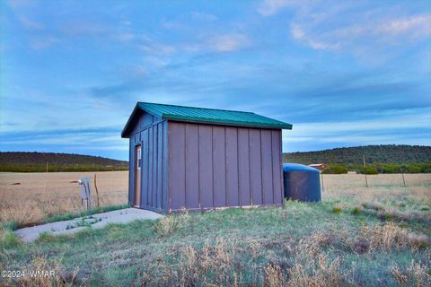 Tiny photo for 2 N3556, Vernon, AZ 85940 (MLS # 259999)