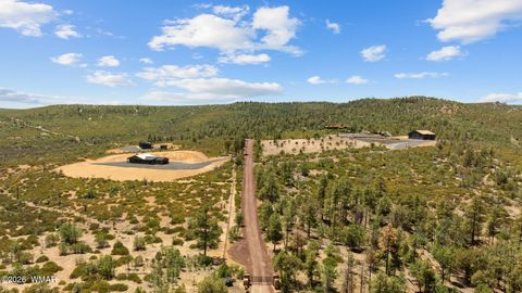 Tiny photo for 512 491 & 539 Fieldy Road, Show Low, AZ 85901 (MLS # 261385)