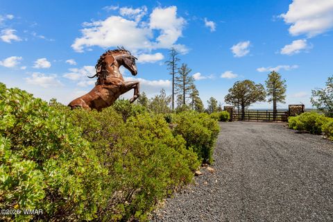 Tiny photo for 512 491 & 539 Fieldy Road, Show Low, AZ 85901 (MLS # 261385)