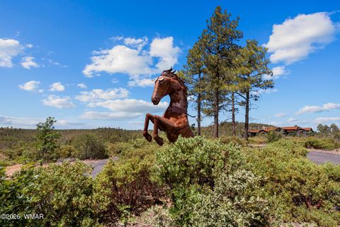 Tiny photo for 512 491 & 539 Fieldy Road, Show Low, AZ 85901 (MLS # 261385)