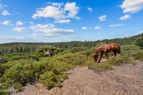 Tiny photo for 512 491 & 539 Fieldy Road, Show Low, AZ 85901 (MLS # 261385)