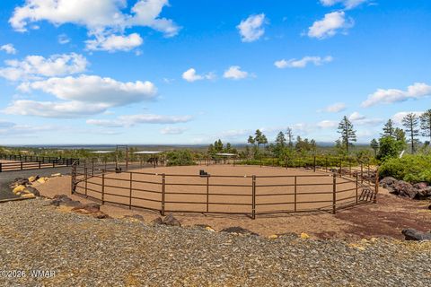 Tiny photo for 512 491 & 539 Fieldy Road, Show Low, AZ 85901 (MLS # 261385)