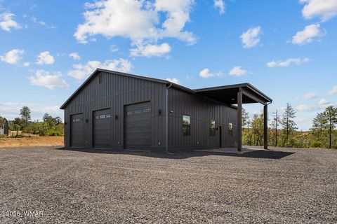 Tiny photo for 512 491 & 539 Fieldy Road, Show Low, AZ 85901 (MLS # 261385)